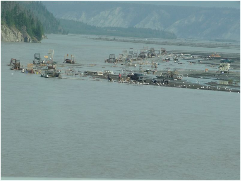 Many fish wheels on the Copper River