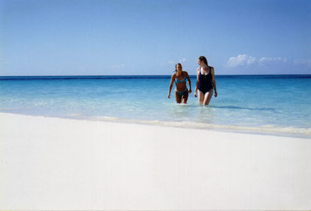 Swimming at the Beach