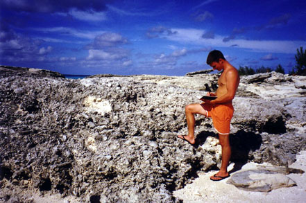 Ancient coral reef study