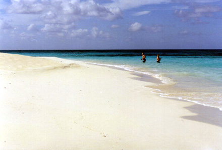Fernandez Bay