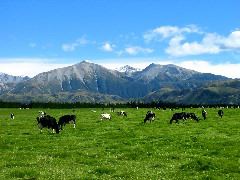 IMG_2171.JPG