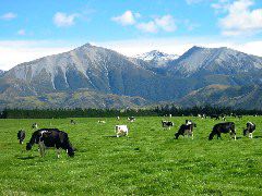 IMG_2172.JPG