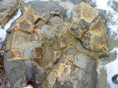 IMG_2188.JPG