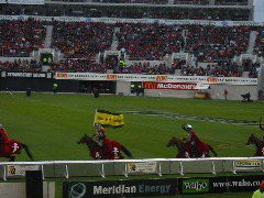IMG_2209.JPG