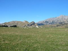 IMG_2264.JPG