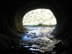 IMG_2288.JPG