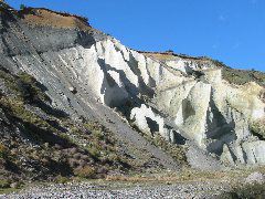 IMG_2290.JPG