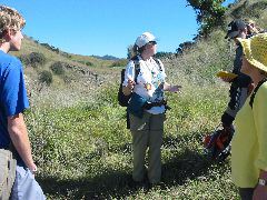 IMG_2310.JPG