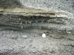 IMG_2339.JPG