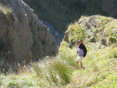 IMG_0121