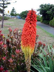 IMG_2155.JPG