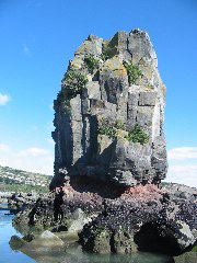 IMG_2272.JPG
