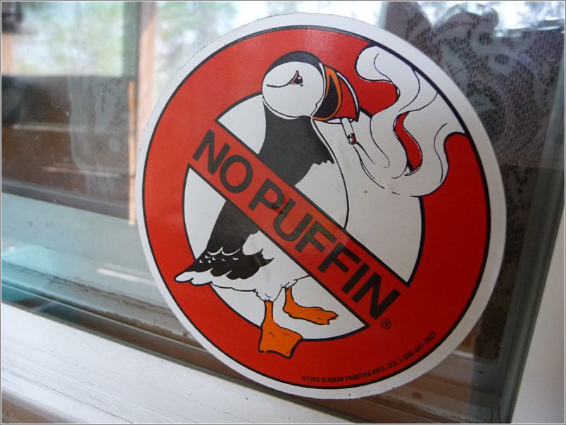 No Puffin (we did not see one)