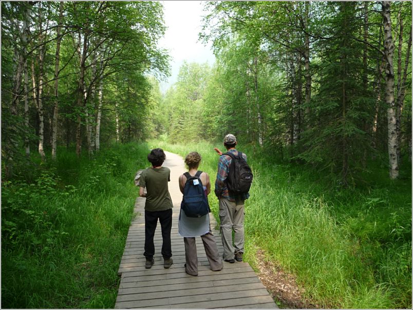 We wait for the moose to move