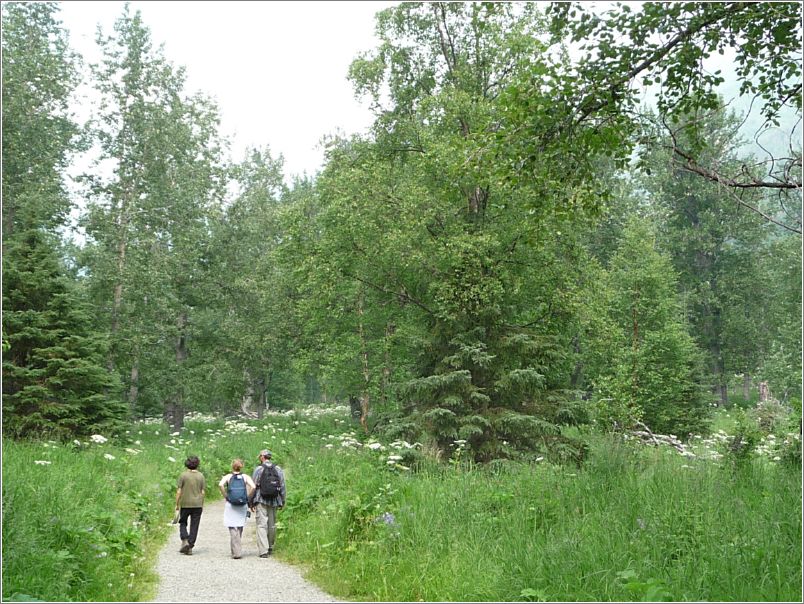 Albert loop trail