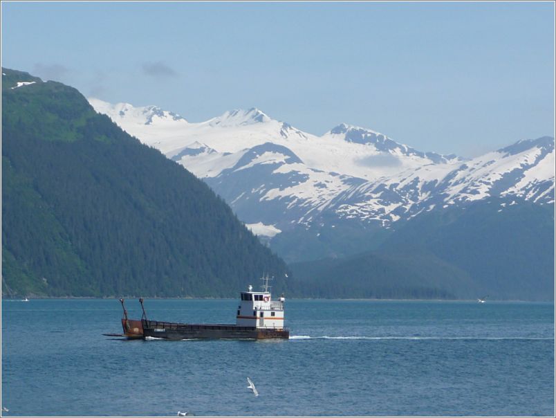 Whittier harbor