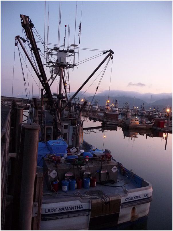 Midnight at the harbor