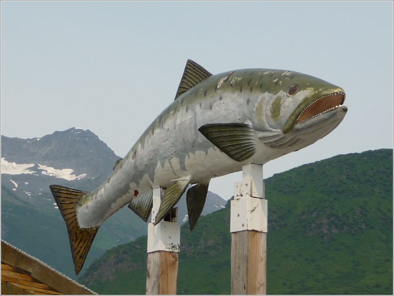 Big fish