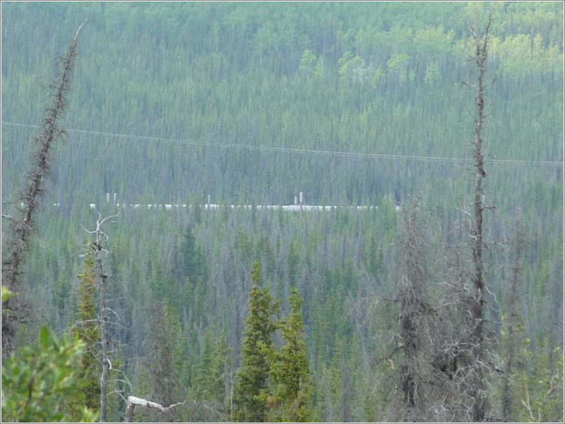 Trans-Alaska Pipeline