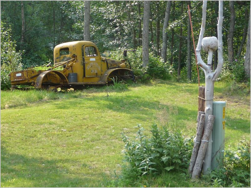 Burl sculpture
