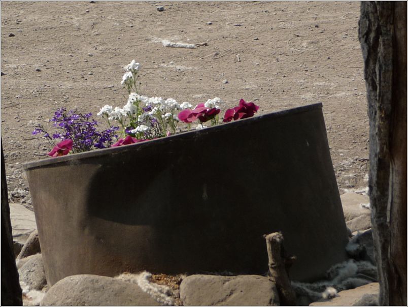 Planter