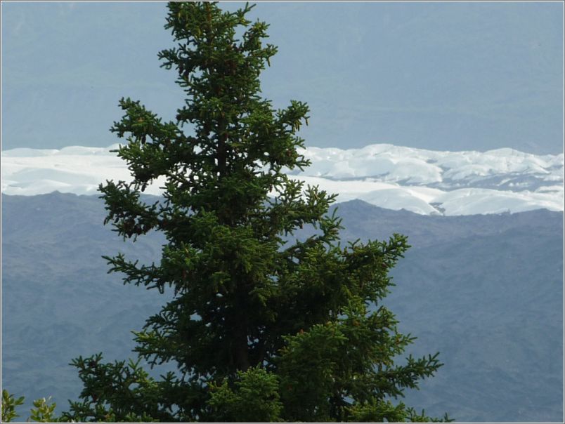 Matanuska Glacier from Glen Highway