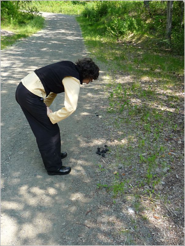 Proof of Bear