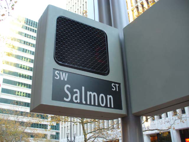 09 - Salmon